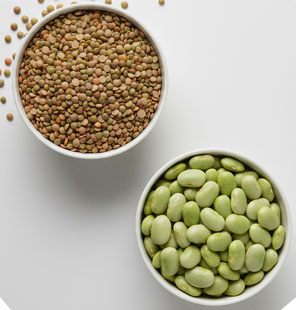 Lentils and
lima beans