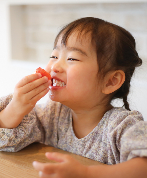 Ideas de comidas y snacks para niños en edad preescolar