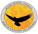 Consejo Intertribal image