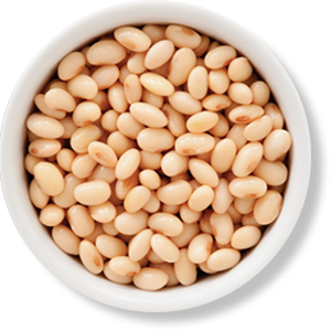 Protein Source Image