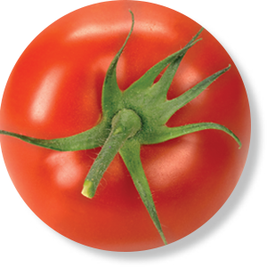 Tomato veg Image
