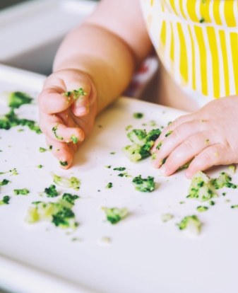 A baby sitting in a high chair, eating solid food with a curious and happy expression. The baby is exploring the food with their hands or a spoon.
