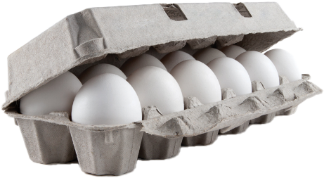 bac_CartonOfEggs